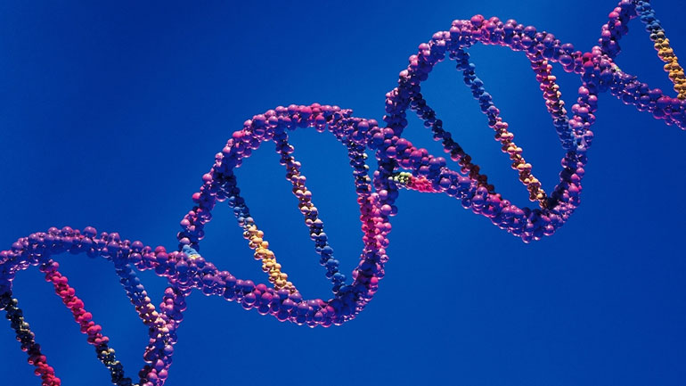 Ένα γονίδιο συνδέεται με την αντίσταση στη θεραπεία του καρκίνου του όρχεως